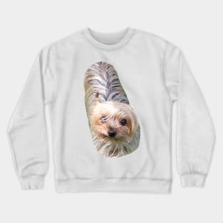 potato dog Crewneck Sweatshirt